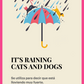 Illustrated Idioms Vol. 1 - Digital Flashcards