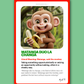 Mexicards Vol. 1 - Digital Flashcards